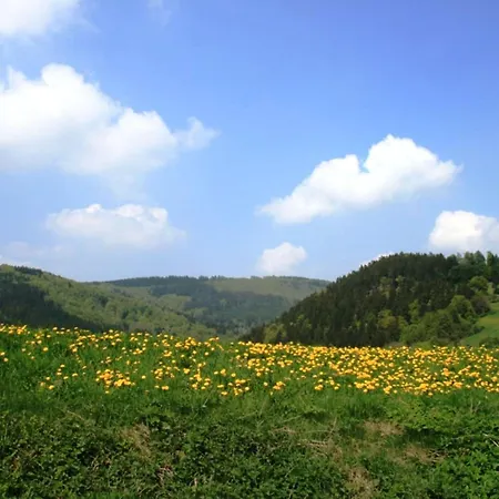 شقة Am Iberg III *