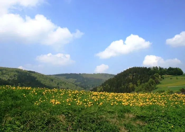 Appartement Am Iberg III *