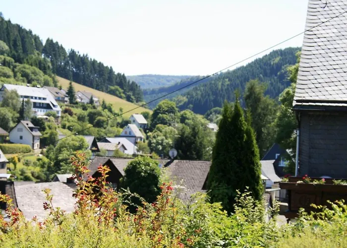 Appartement Am Iberg III Willingen (Upland)