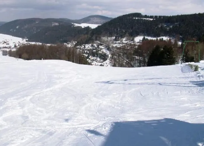 Am Iberg III * Willingen (Upland)